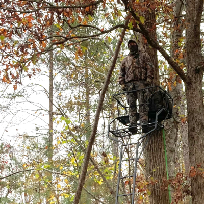 Using the Tree, Not the Stand, to Hide Your Body