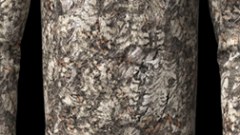 Asio Raptor camouflage