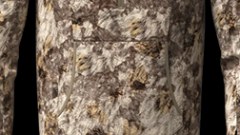 Asio RAPX camouflage