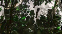 Broadside Camo Closer camouflage