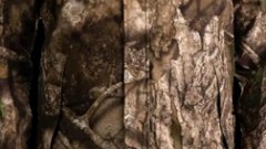 Realtree APX camouflage