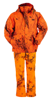 Naked North Blaze