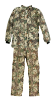 MP